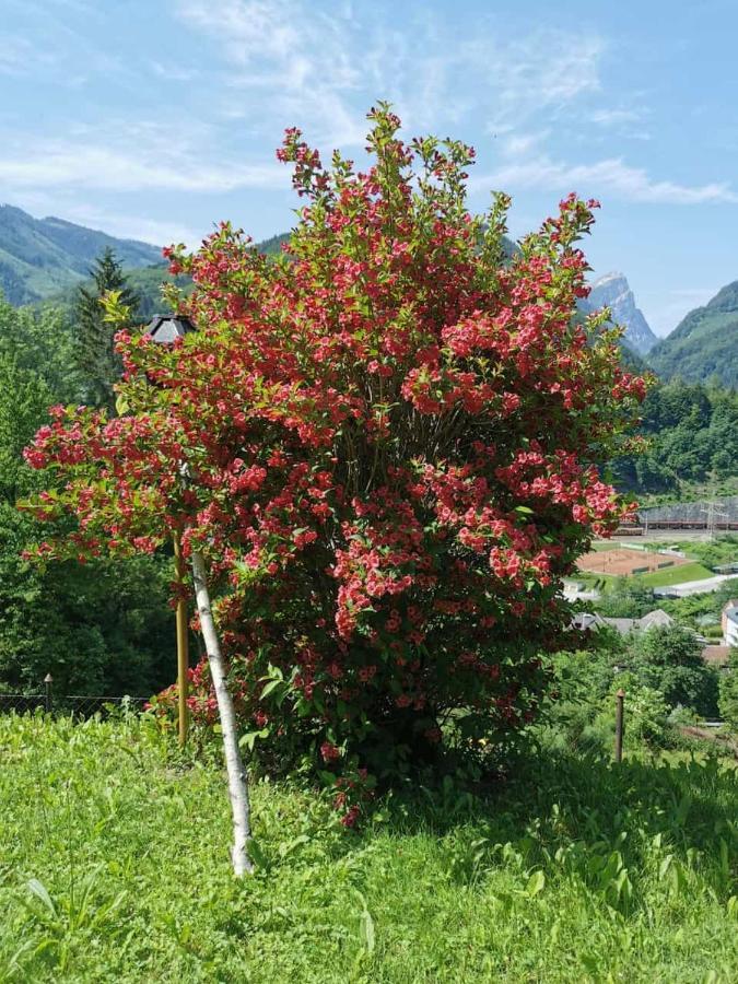 Ferienwohnung Im Nationalpark Gesaeuse Hieflau 外观 照片